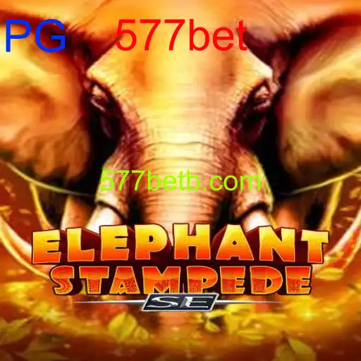 ElephantStampedeSE